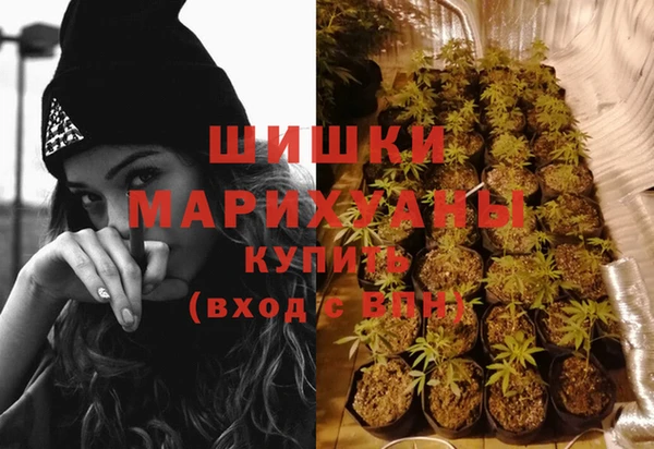 прущие грибы Арсеньев