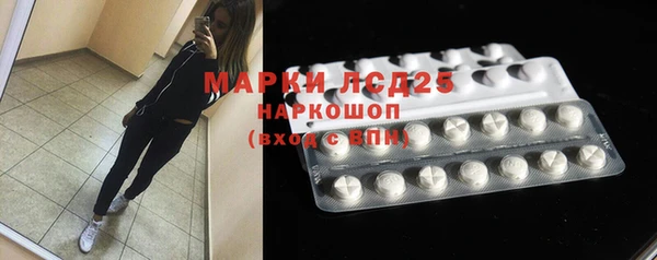 прущие грибы Арсеньев