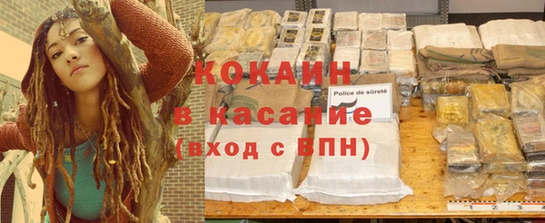 прущие грибы Арсеньев